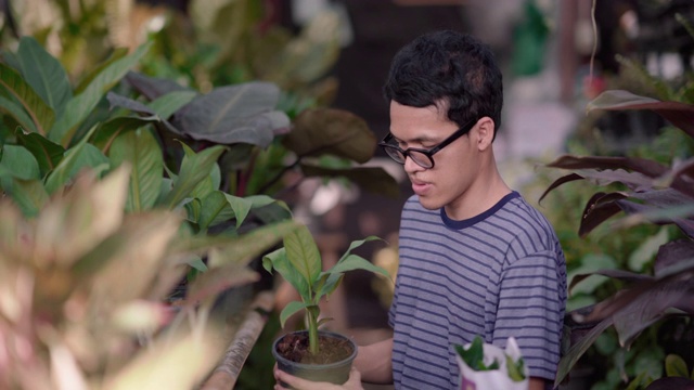 一个年轻人在花店选了一株植物视频素材