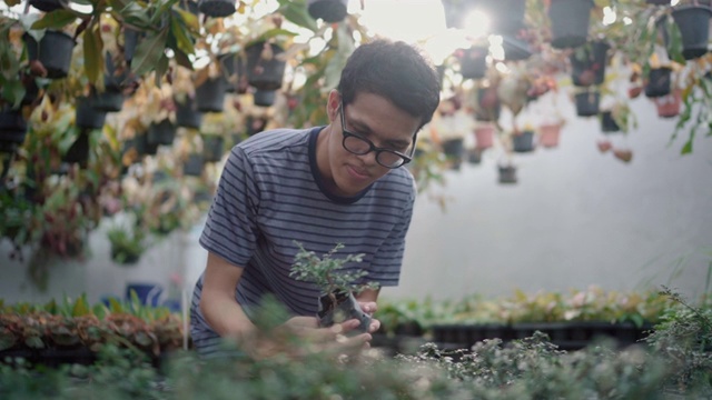 一个年轻人在花店选了一株植物视频素材