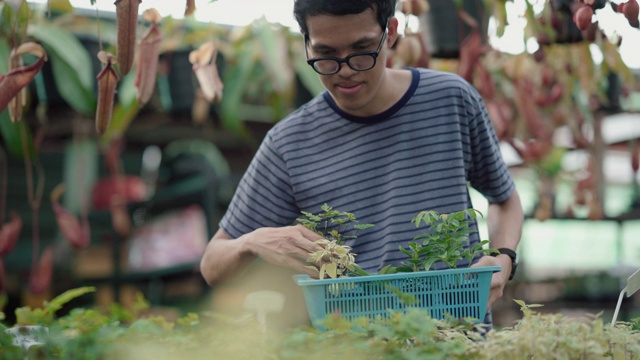 一个年轻人在花店选了一株植物视频素材