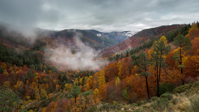 神秘的雾在Leandres山谷中间与秋天的颜色跳舞，Serra da Estrela自然公园，葡萄牙-时光流逝视频素材