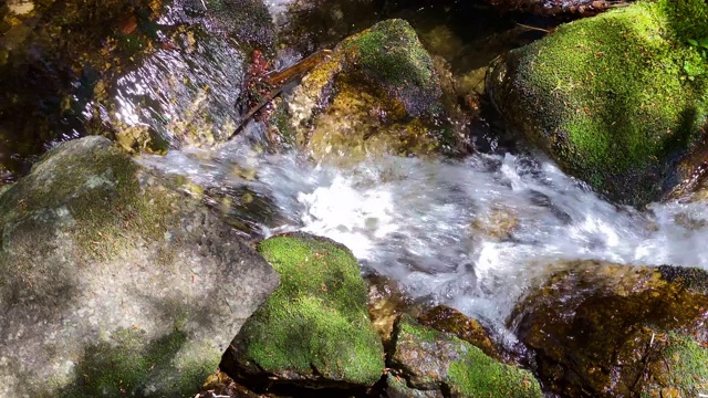 山间溪流穿过森林视频素材