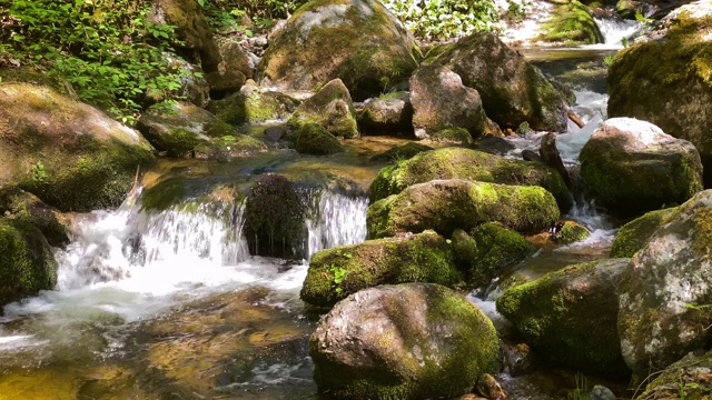 山间溪流穿过森林视频素材