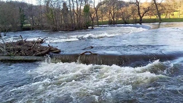 狂暴的水在英国乡村景观的急流视频素材