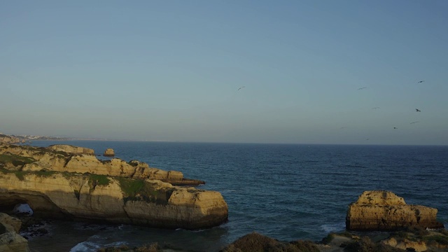 鸟瞰飞过海洋和悬崖的飞鸟视频素材