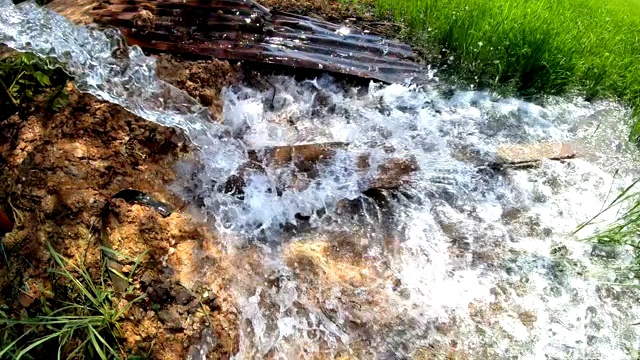 缓慢的水流带着绿色的幼苗进入地面。视频素材