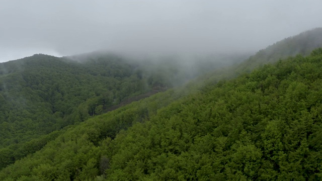 鸟瞰图的深森林，森林，山谷和丘陵-无人机4K视频视频下载