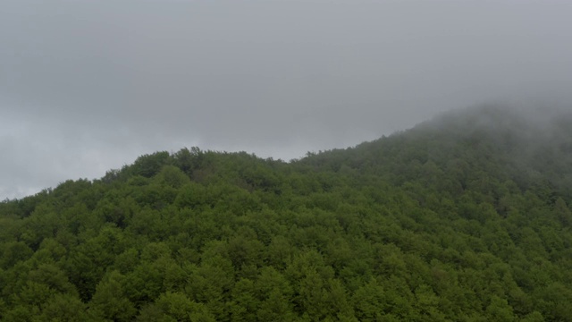 鸟瞰图的深森林，森林，山谷和丘陵-无人机4K视频视频下载