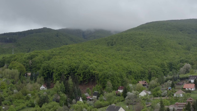 鸟瞰图的深森林，森林，山谷和丘陵-无人机4K视频视频下载