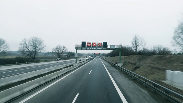 猫在明亮的道路上行驶视频素材