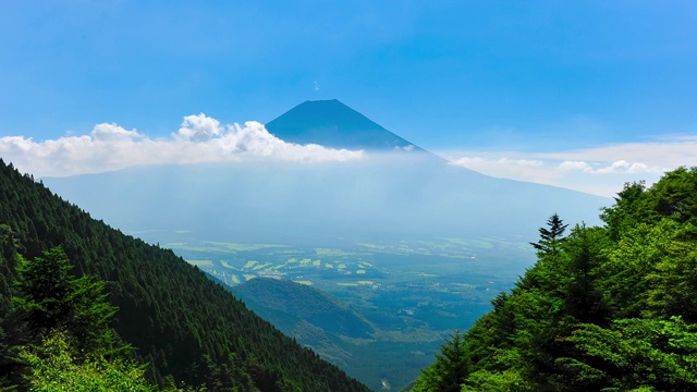 高角度俯瞰树木和山脉视频素材