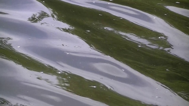 海浪反射天空和海岸线的特写视频素材