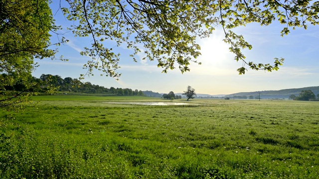 风景与早晨的阳光，自然保护区，Im Rußland und der Kuhweide, Limeshain, Wetterau区，Hesse，德国视频素材