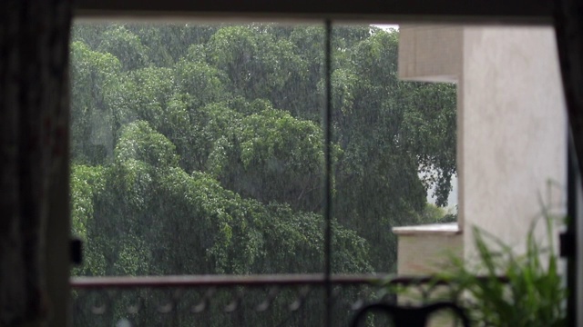 窗外下着雨。风暴在户外视频素材