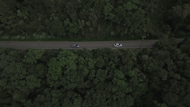 RS内部道路视频素材