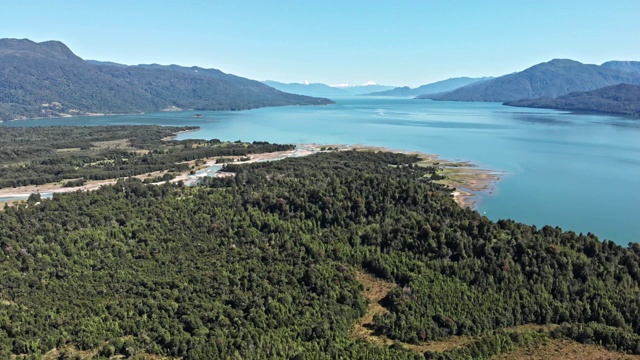 智利巴塔哥尼亚Puyuhuapi峡湾岸边的森林视频素材