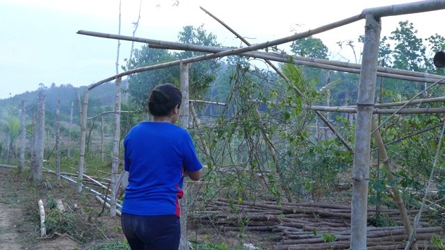 在百香果农场工作的亚洲女农民视频素材