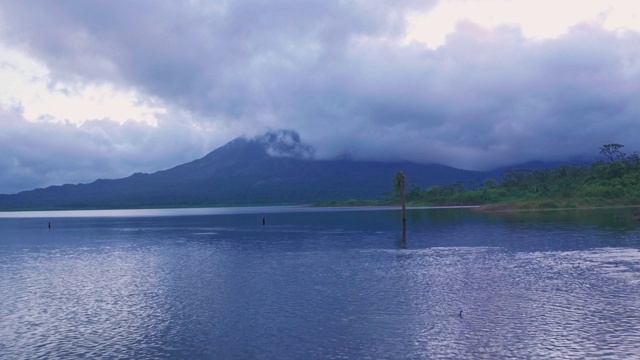 哥斯达黎加阿雷纳尔湖的白鹤和阿雷纳尔火山。空中无人机视图视频素材