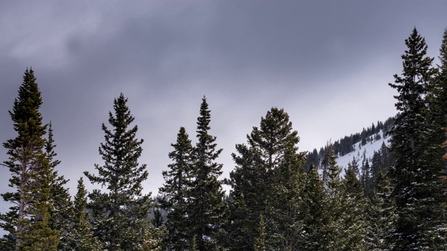 云经过雪覆盖的树在落基山脉-时间流逝视频素材