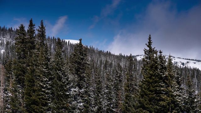 在落基山脉上白雪覆盖的树上方的蓝色天空-时间流逝视频素材