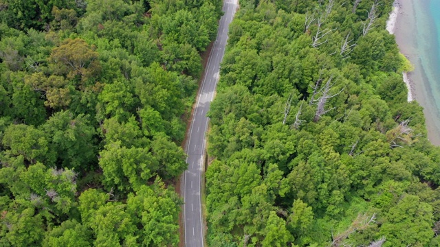 空中俯瞰空旷的道路在绿树林中，无人机上升的风景湖在阳光明媚的一天-皇后镇，新西兰视频素材