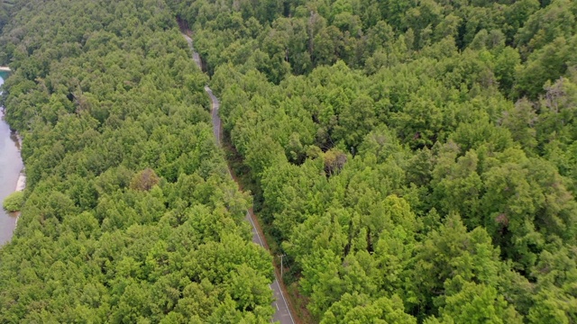 空中倾斜向下拍摄的空旷的道路中绿色的树木在森林，无人机飞行向前的风景湖-皇后镇，新西兰视频素材