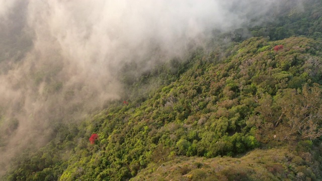 无人机飞越著名地标上空，从空中向下拍摄绿色森林上空的云朵视频素材