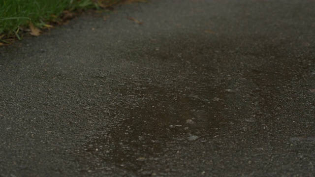 穿着运动鞋的女性跑步者的腿。女人在雨中在公园户外慢跑，踩进泥泞的水坑，近距离。运动与跑步概念视频素材