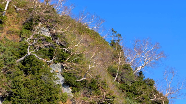 在日本的山的一边，绿色的草和树视频素材