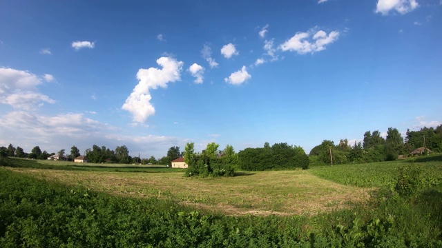 在阳光明媚的日子里，草地在风中摇曳。农村。间隔拍摄。视频素材