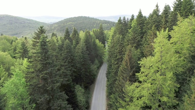 穿越森林的公路旅行视频素材