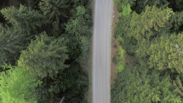 穿越森林的公路旅行视频素材