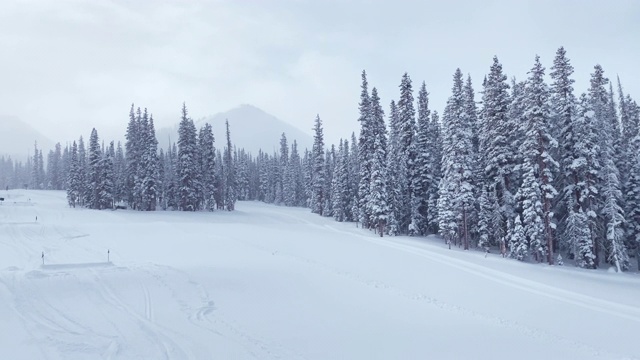 美国科罗拉多州特柳赖德的滑雪道视频素材