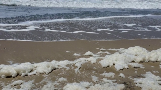 泡沫盘向大海视频素材