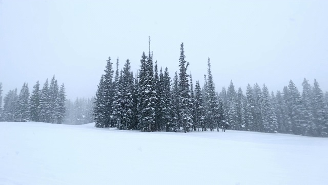 科罗拉多州特柳赖德的小暴风雪视频素材