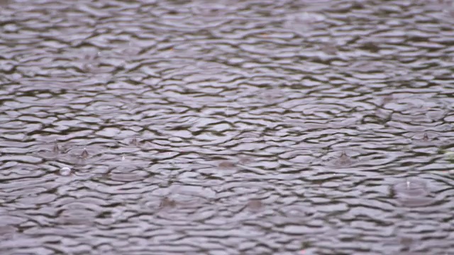 特写雨滴落在水中。视频素材