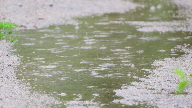 水坑潮湿天气下边缘粗糙的小水坑视频素材