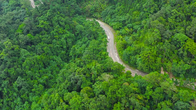 山路在丛林中，鸟瞰图。菲律宾吕宋岛的性质视频素材