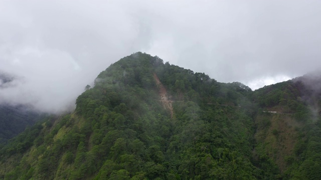 乌云密布，绿树成荫。热带气候中的雨云视频素材