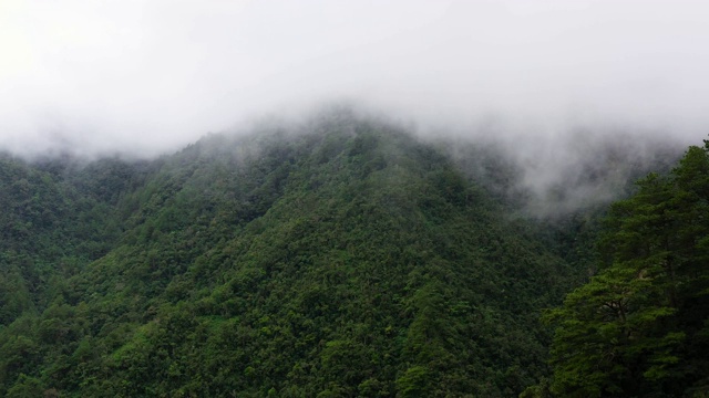 菲律宾吕宋岛的科迪勒拉山脉鸟瞰图。山脉和热带雨林视频素材