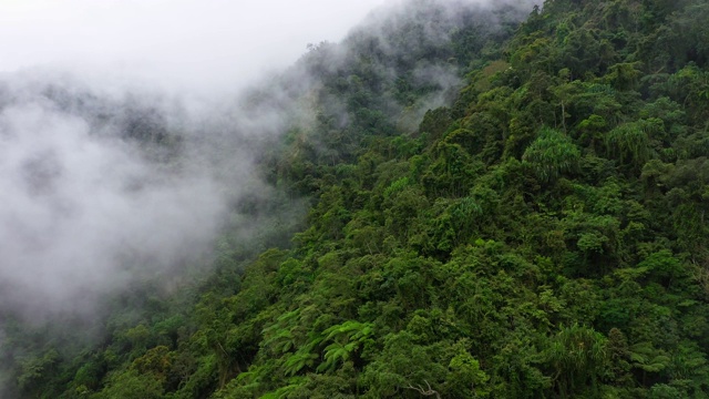 这山脉覆盖着常青的雨林视频素材