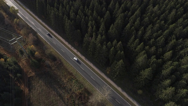 鸟瞰森林景观中一条遥远的道路-无人机拍摄视频素材