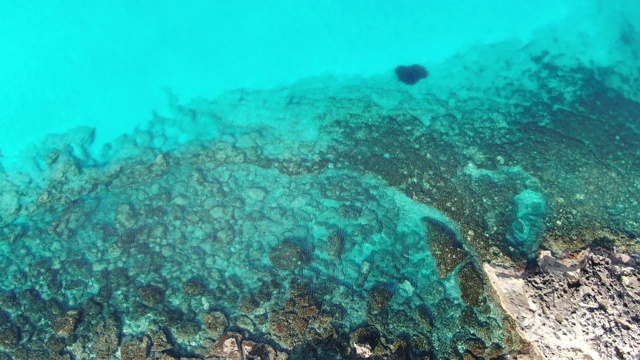 无人机视野透明的绿松石地中海与岩石海岸。鸟瞰图水晶清晰的波浪在海底的石头。相机移动。自然，海景，水下，旅游，塞浦路斯。视频素材