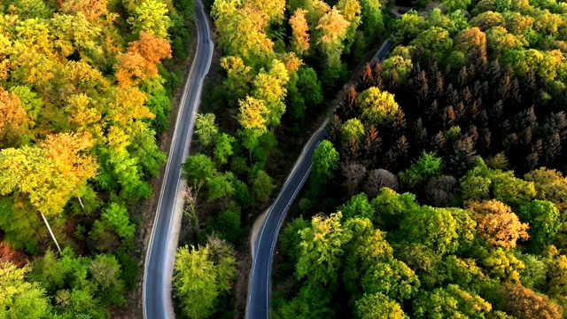 鸟瞰图的道路弯曲在一个彩色的森林视频素材