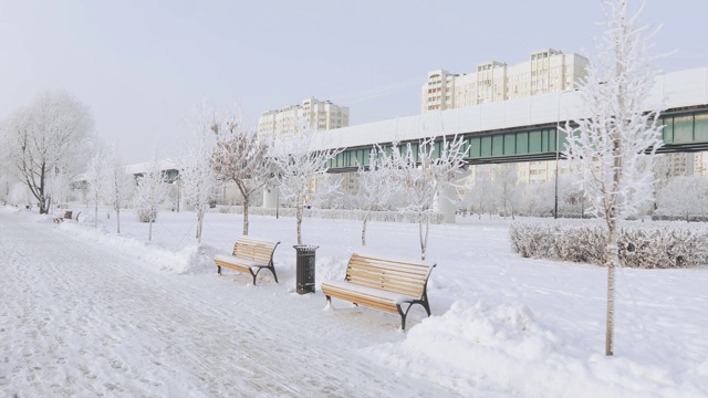 被白雪覆盖的城市公园视频素材