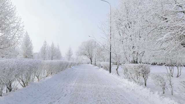 被白雪覆盖的城市公园视频素材