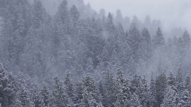 恶劣的冬季天气视频素材