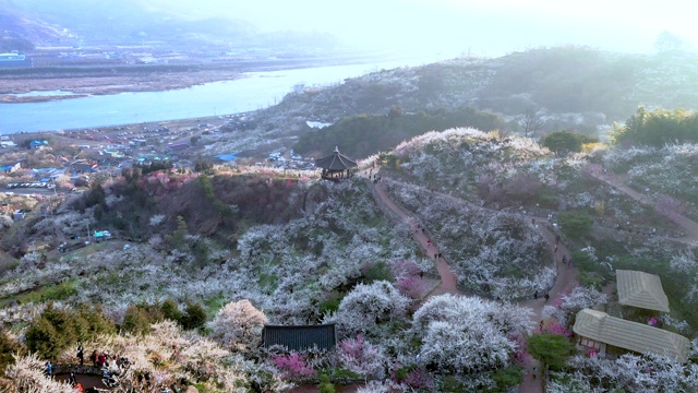 光阳梅洼村/全罗南道光阳寺视频素材