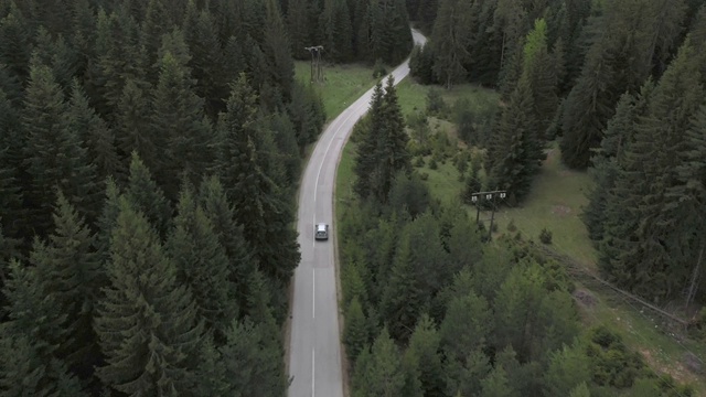 穿越森林的公路旅行视频素材