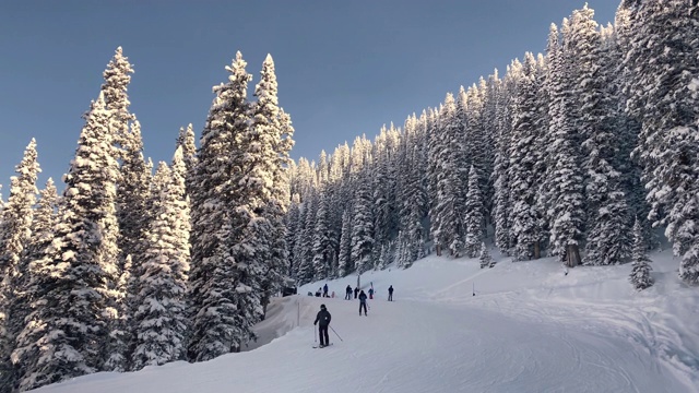 特柳赖德的滑雪者和单板滑雪者视频素材