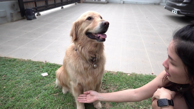 一个女人在和她的狗玩视频素材